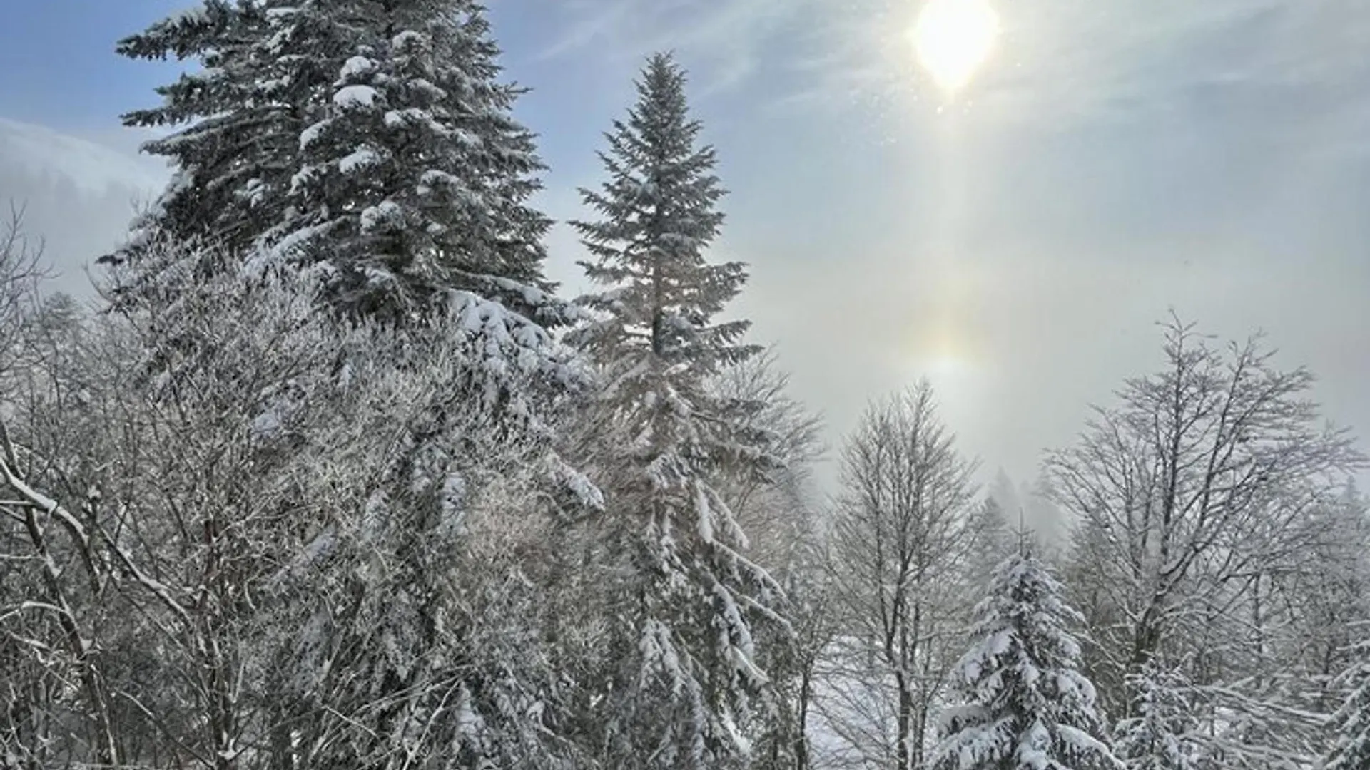 Appartamento Confort Au Coeur De Le Lioran : T2 Avec Balcon - Fr-1-787-97 Laveissière
